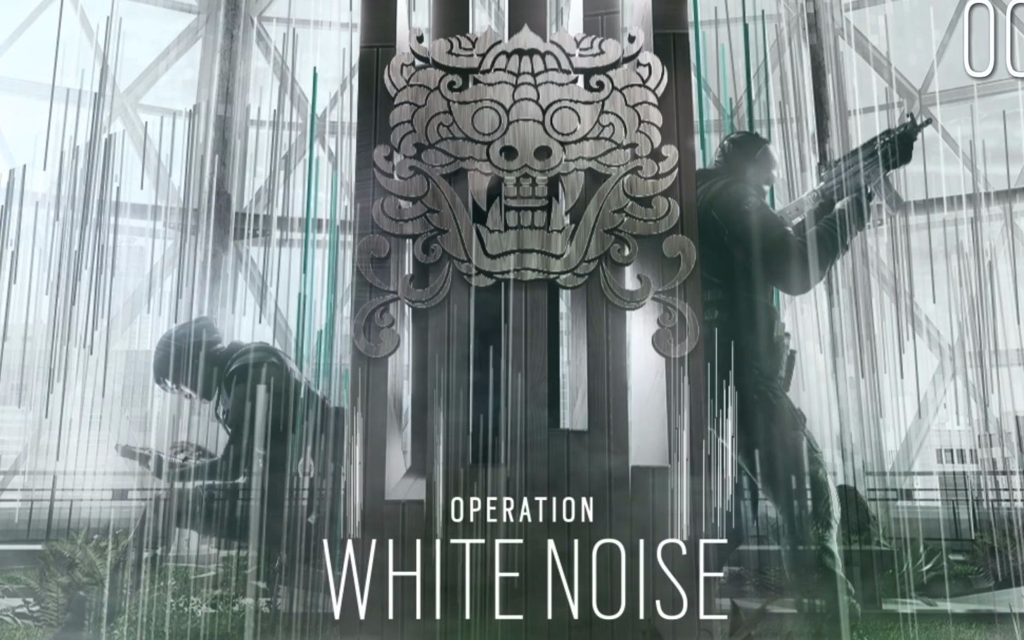 xc sports-养龟主要有这五大终端市场,现在养龟还不晚!(图2) xc体育